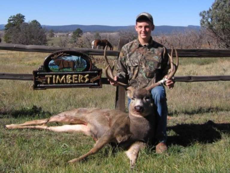 The Timbers At Chama