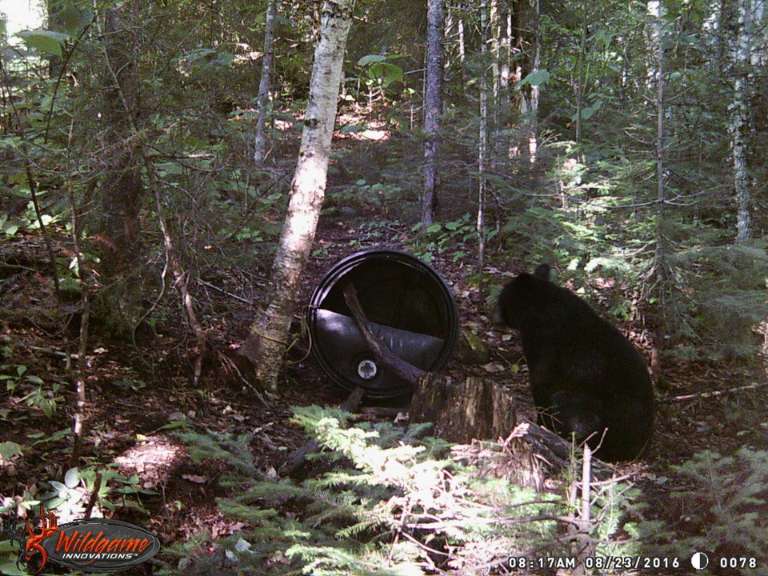 Fur and Fly Outfitters