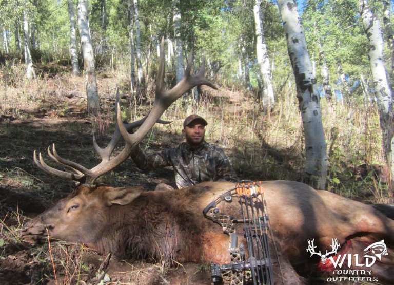 Wild Country Outfitters