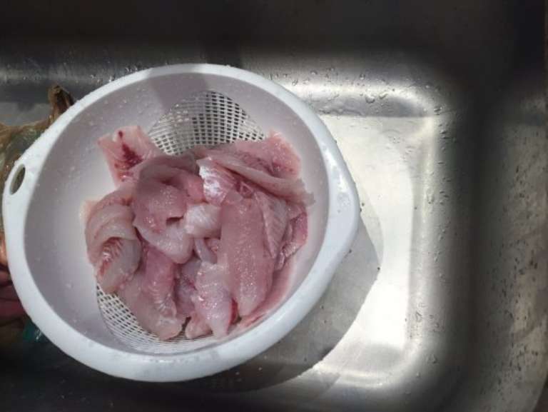 Tradewinds Sportfishing