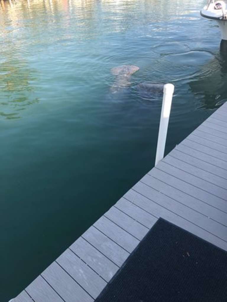 Key Colony Beach Boat Rentals