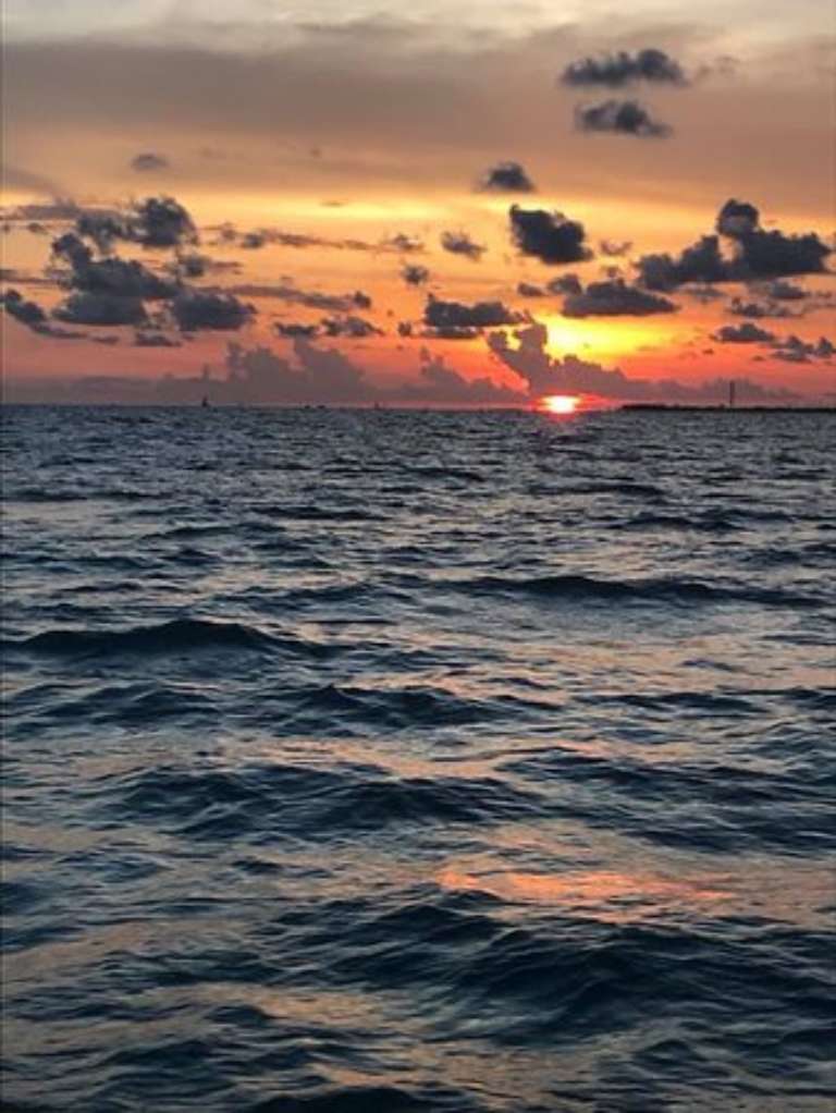 Low Latitude Adventures