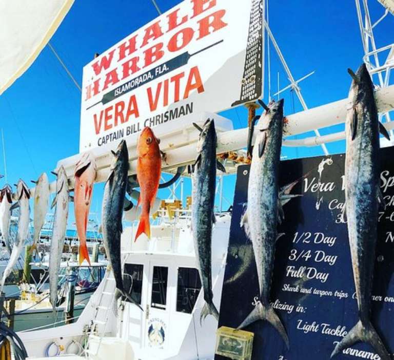 Vera Vita Sportfishing