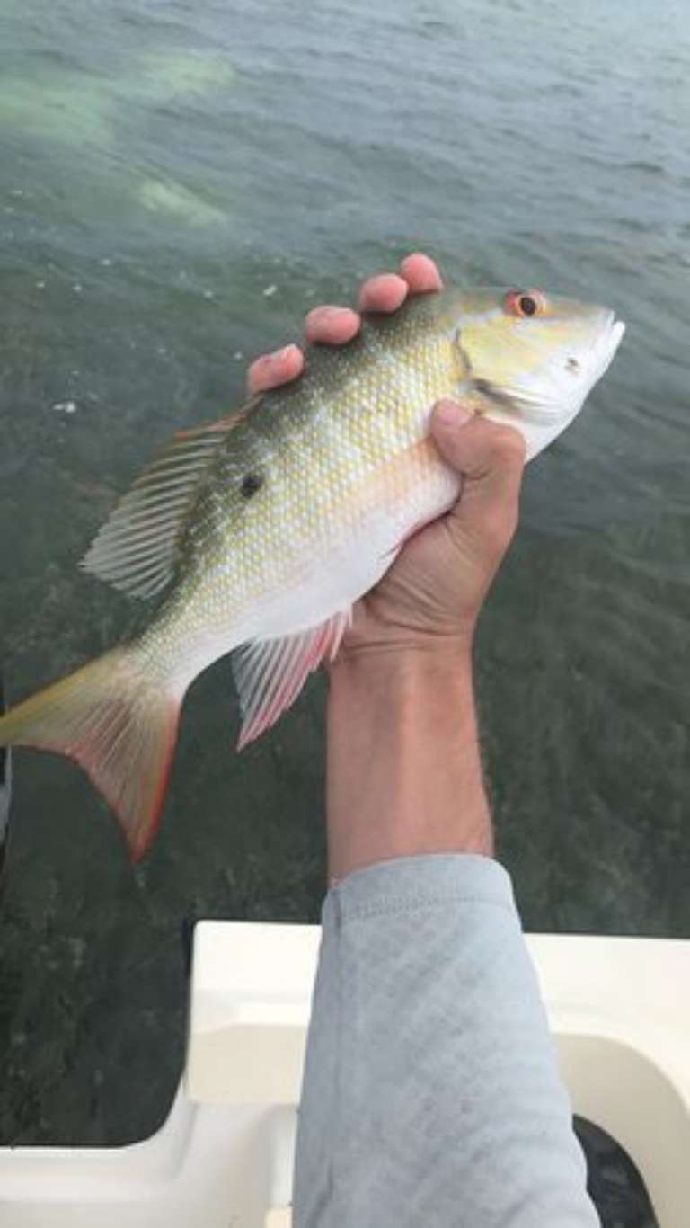 Fish 'N Fun Boat Rentals