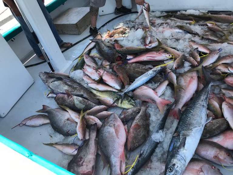 Tortugas Unlimited, LLC