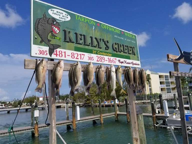 Kelly’s Green Sportfishing