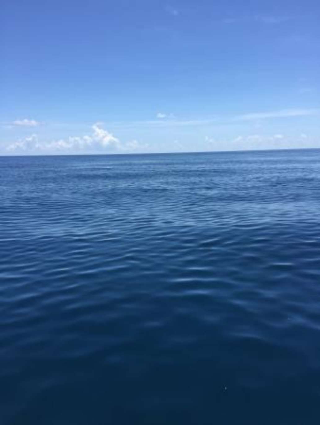 Islamorada Dive Adventures