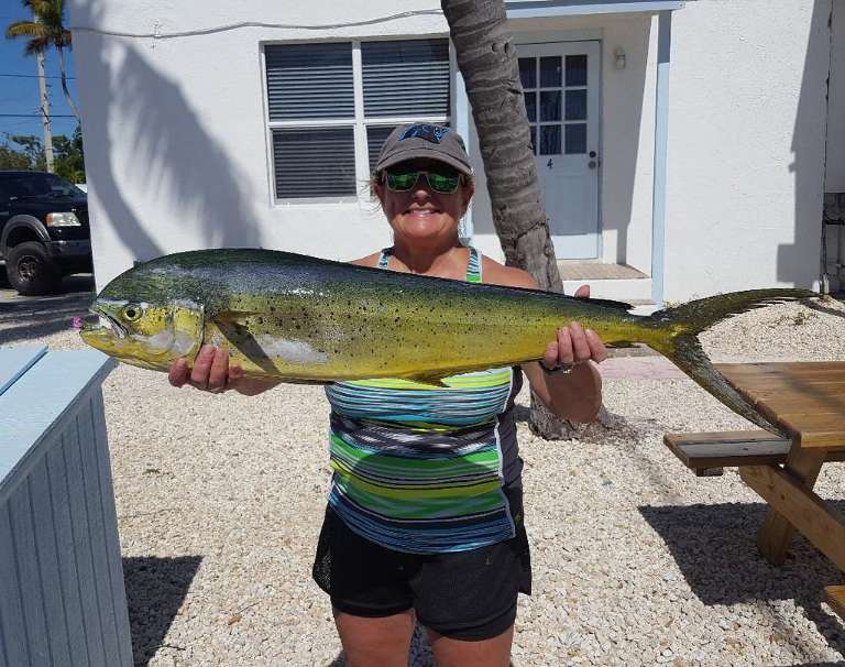 Cloud Nine Charters - Private Trips