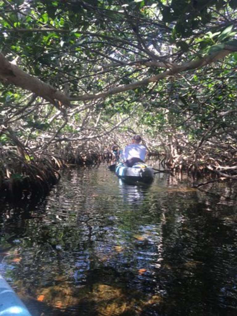Kayak Adventures Key West