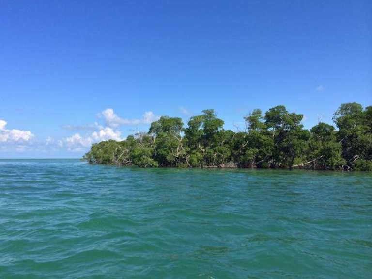 Blue Sky Charter Company LLC - Tours