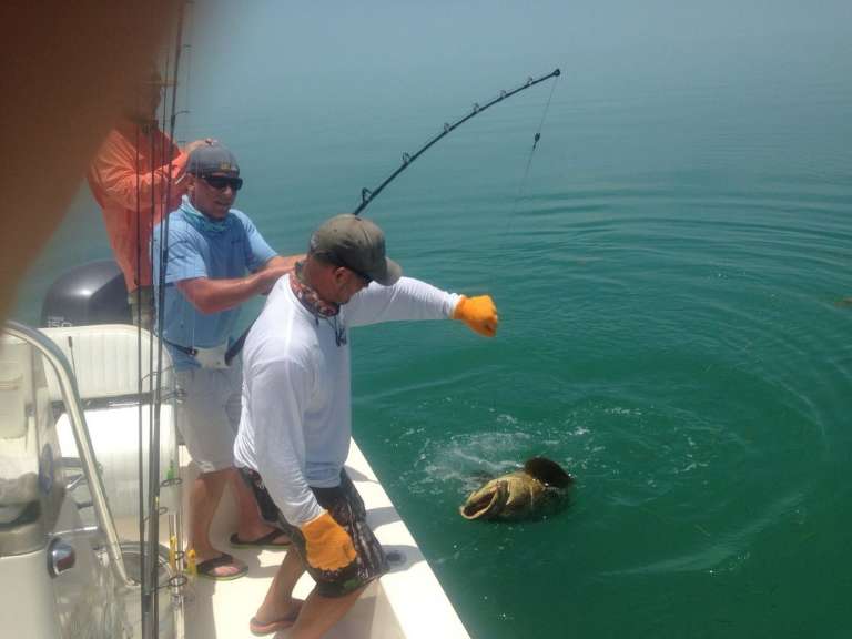 A Lil' Tail Charters