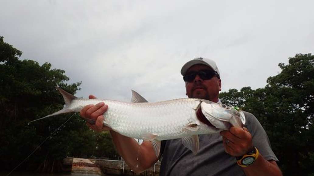 Here Fishy Charters
