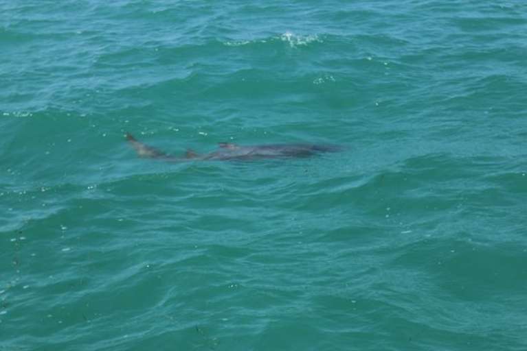 R U Fishing Yet Charters