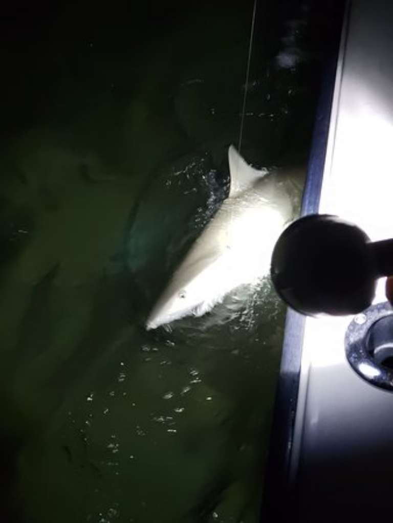 Always Enough Sport Fishing