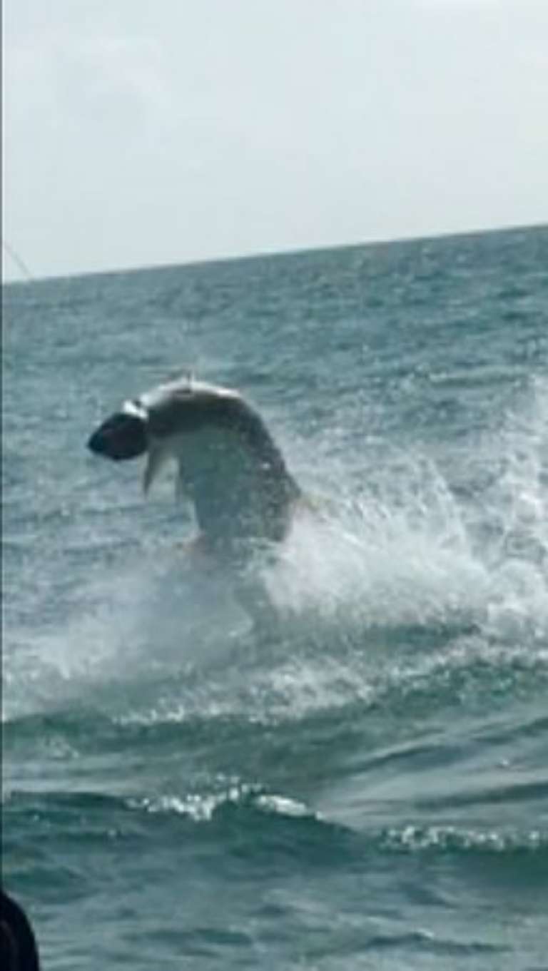 Fish Florida Bay Fishing Charters