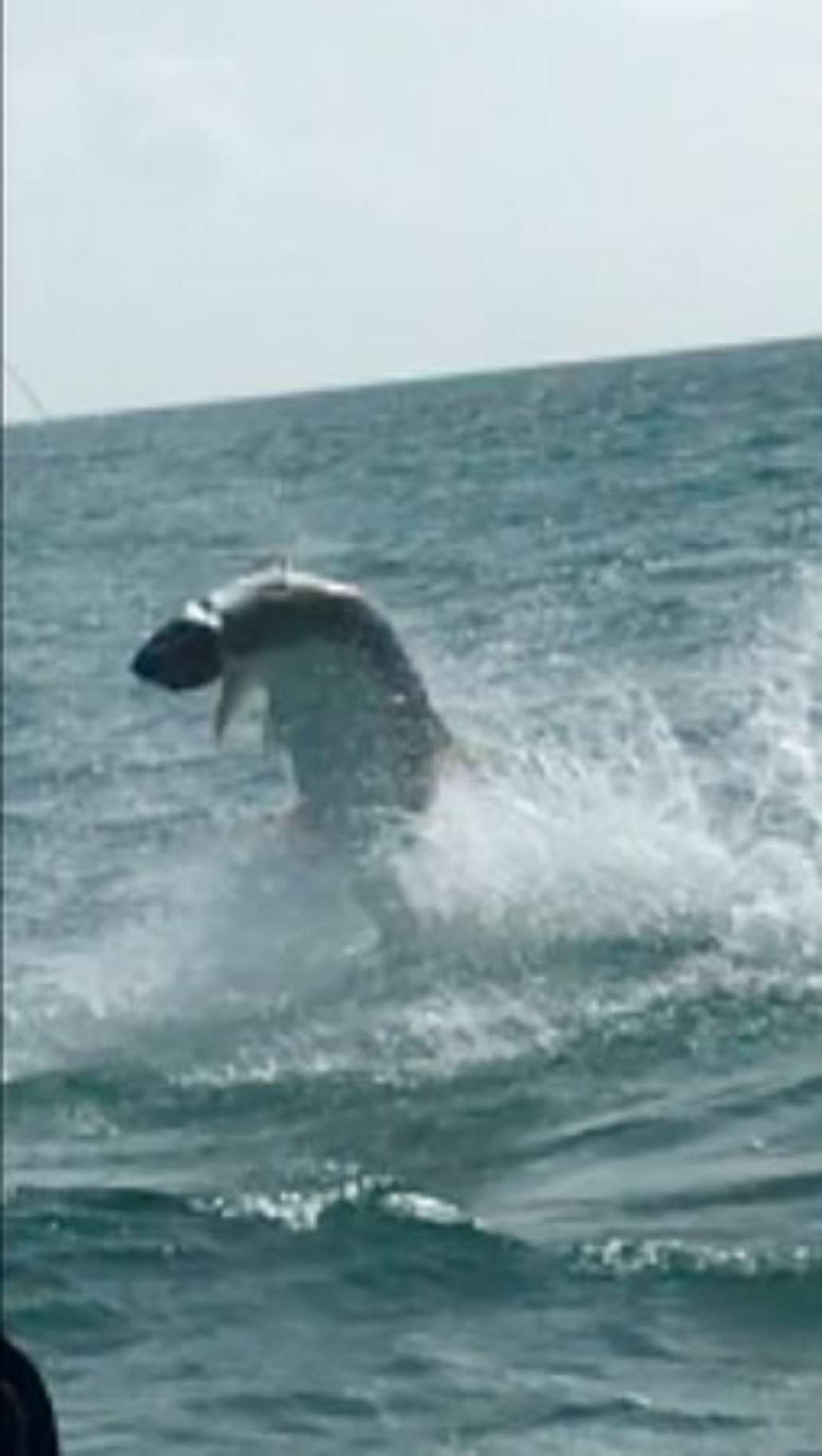 Fish Florida Bay Fishing Charters