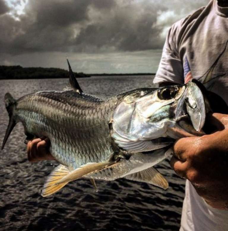 MudPuppy Fishing Charters