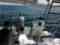 Cara Mia Fishing Charters