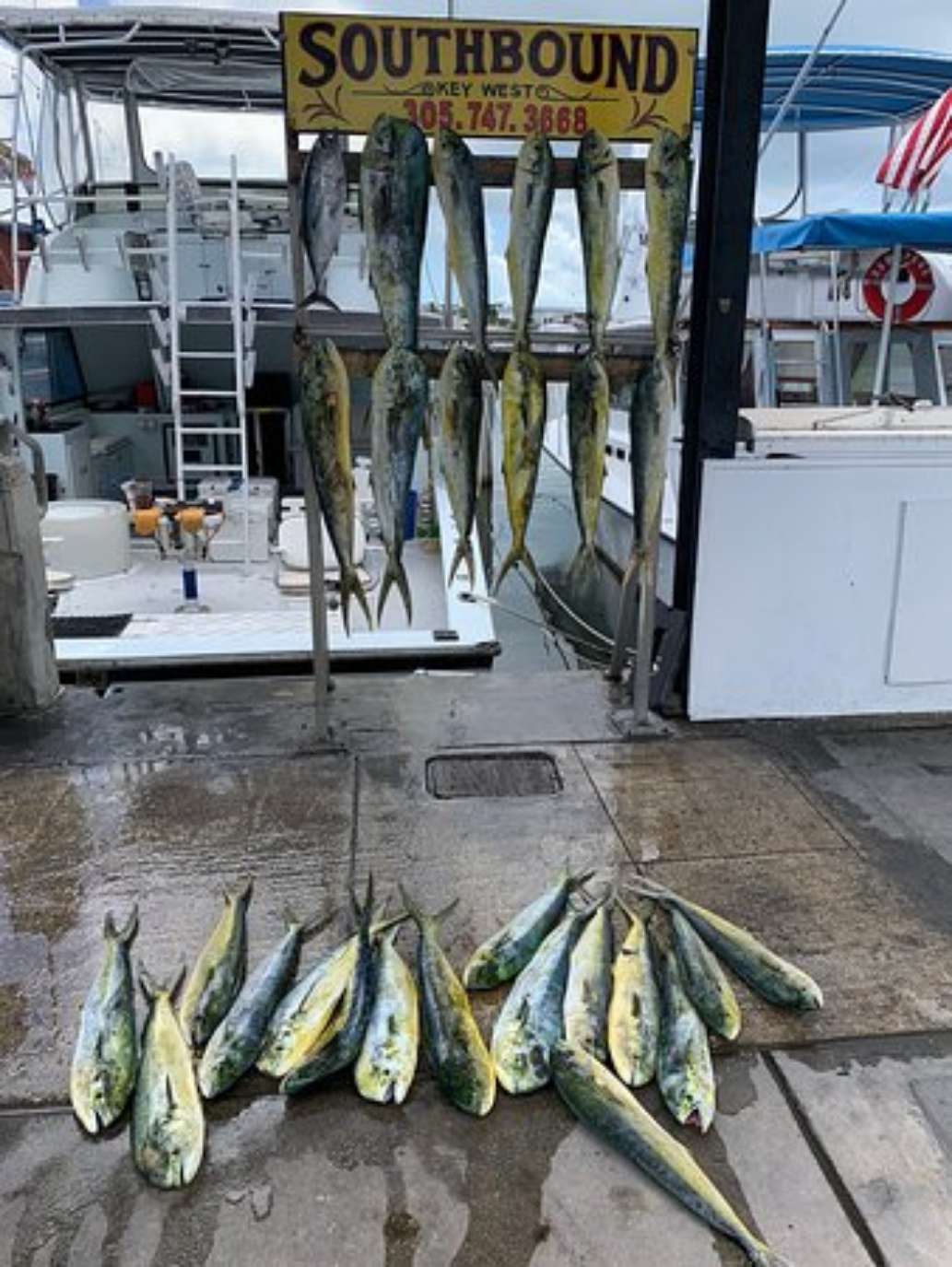 Southbound Charters