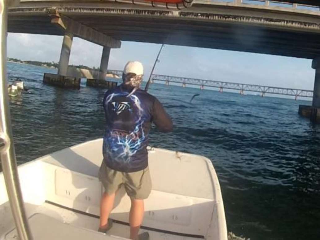 TarponTrips