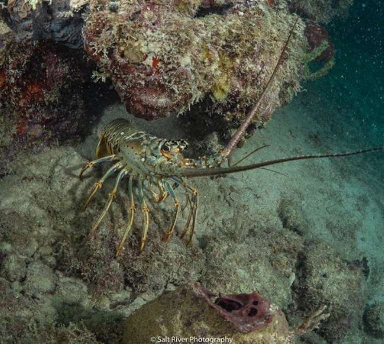 Adventure Watersport Charters