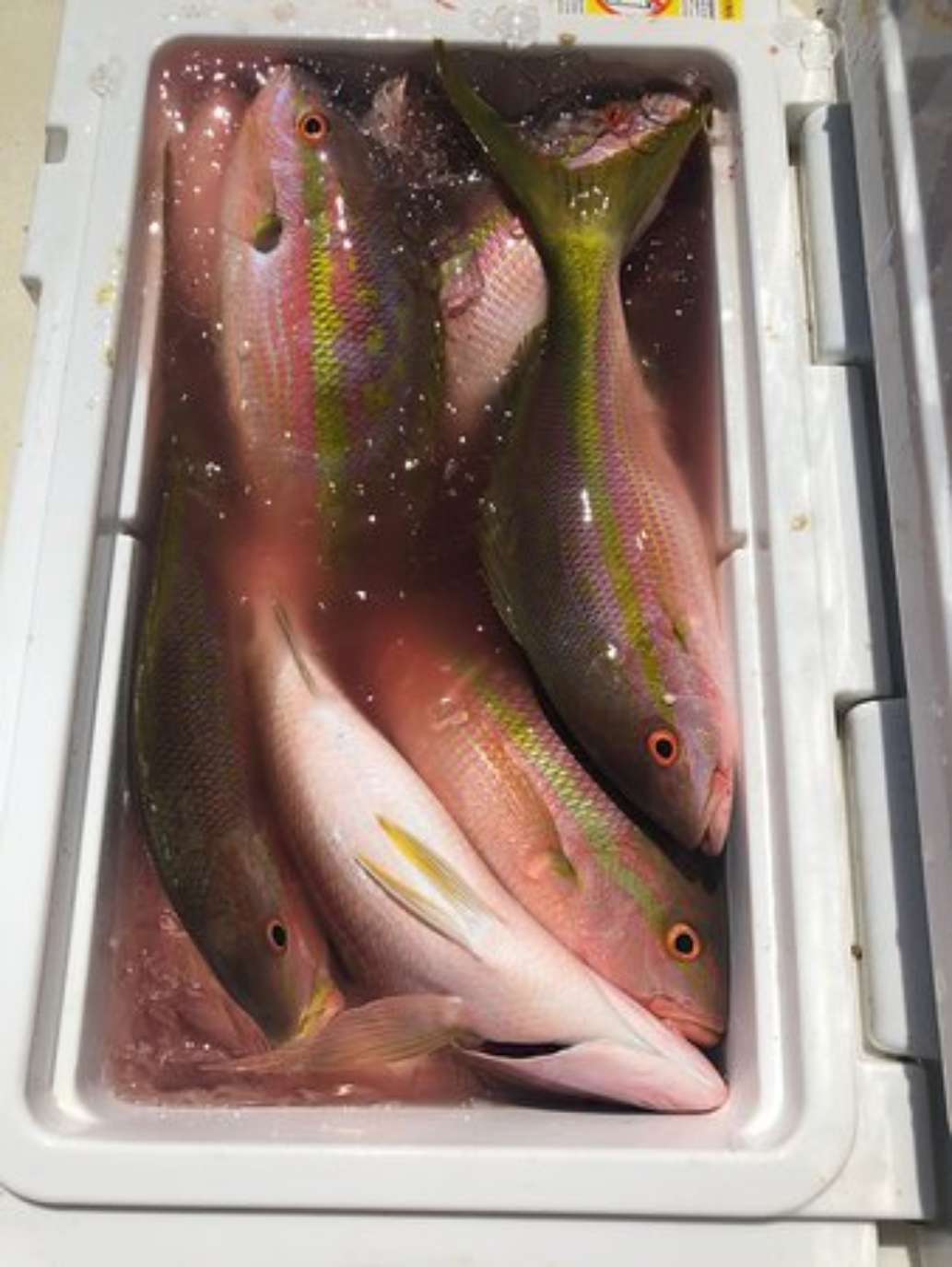 Expedition Fishing