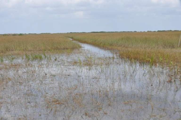 Fort Lauderdale Airboat Adventure