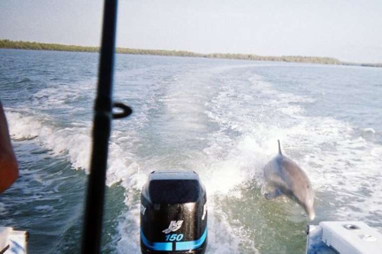 Stop's Marine Private Charters