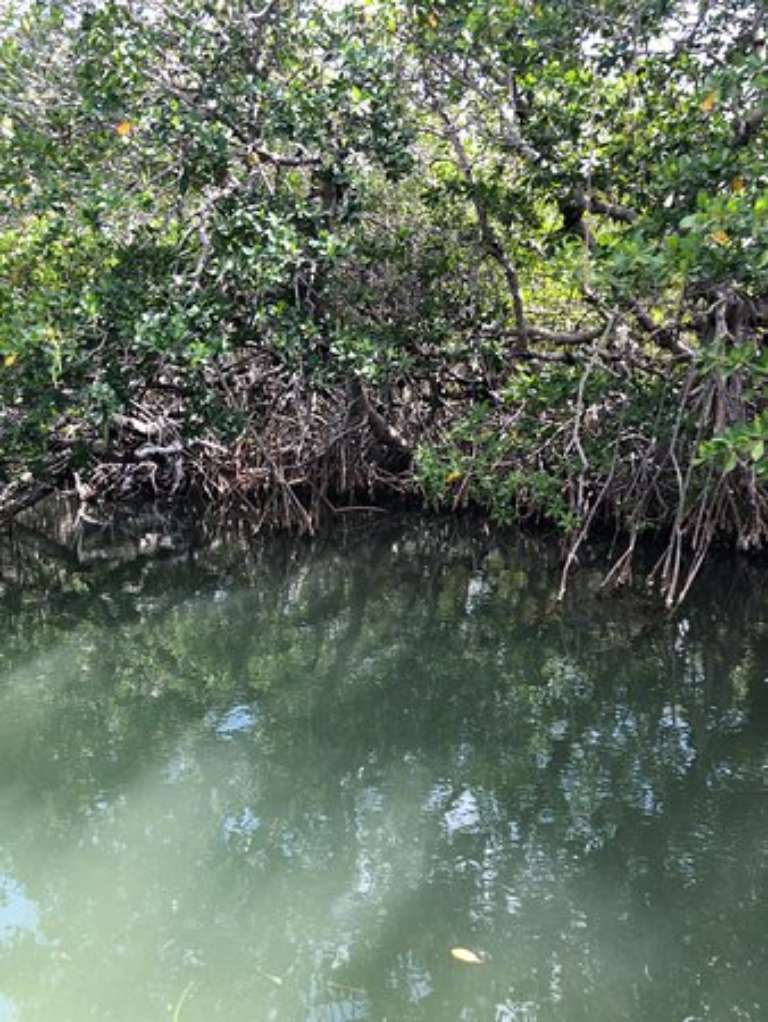 Capt. Sterling's Everglades Tour