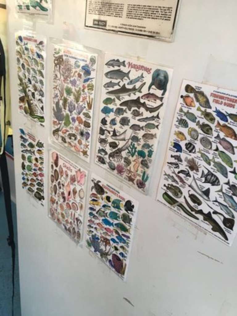 Happy Cat Snorkel Boat