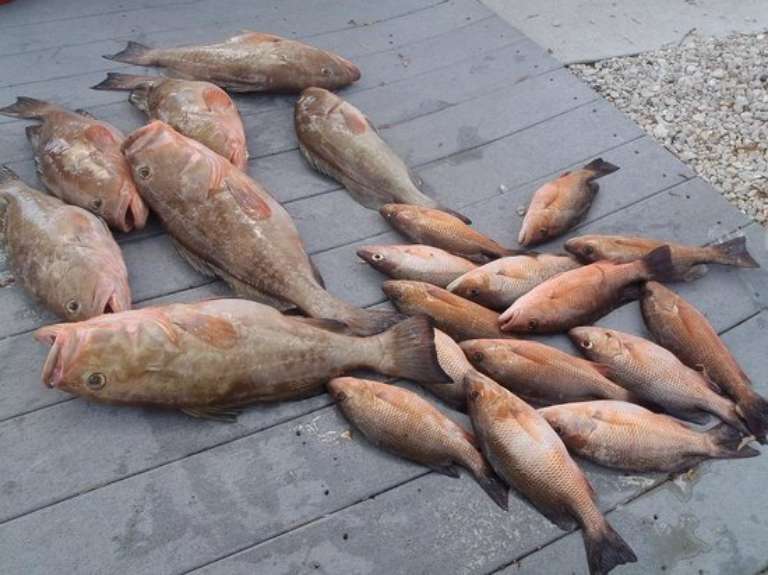 Unreel Fishing Charters