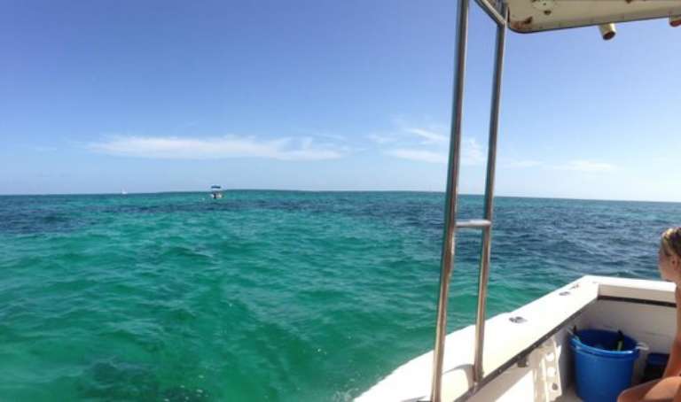 Seamonkey's Scuba Diving