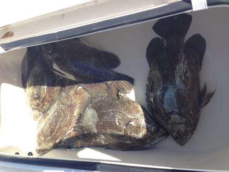 Quality Backwater Fishing - Private Charters