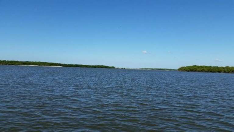 Naples Backwater Fishing Charters