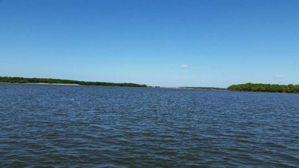 Naples Backwater Fishing Charters