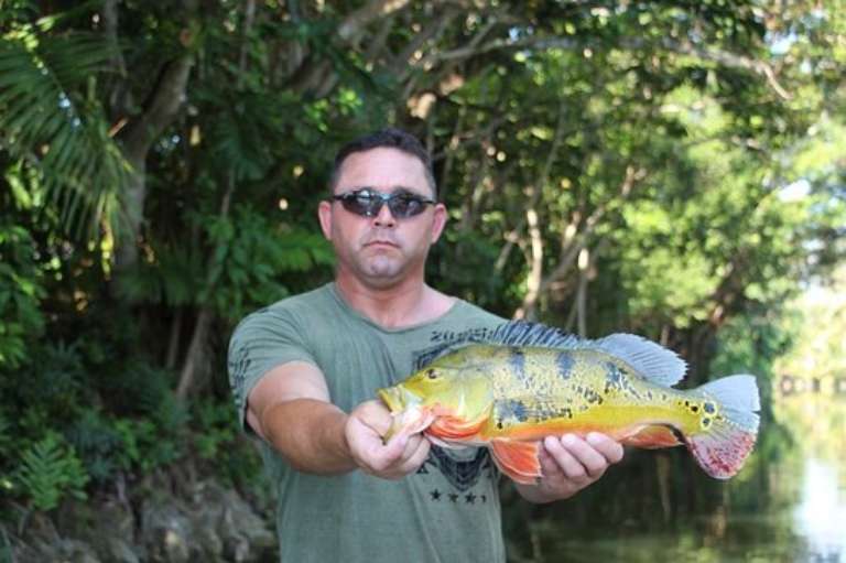 Florida Everglades Bass Fishing Adventures