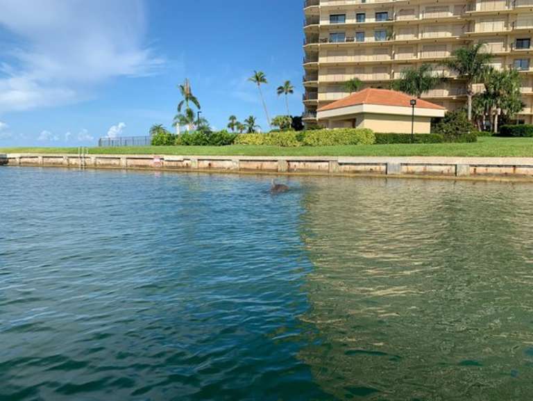 Florida Adventures and Rentals