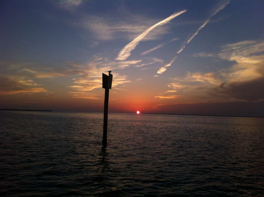 Fish Salty Dog LLC