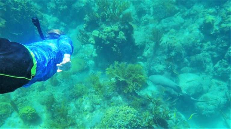 Key Largo Adventures