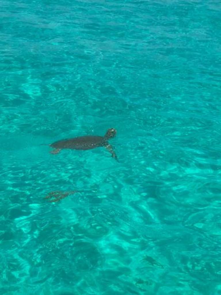 Anchors Away Boat Rentals