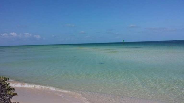 Sand And Sea Charters Key West