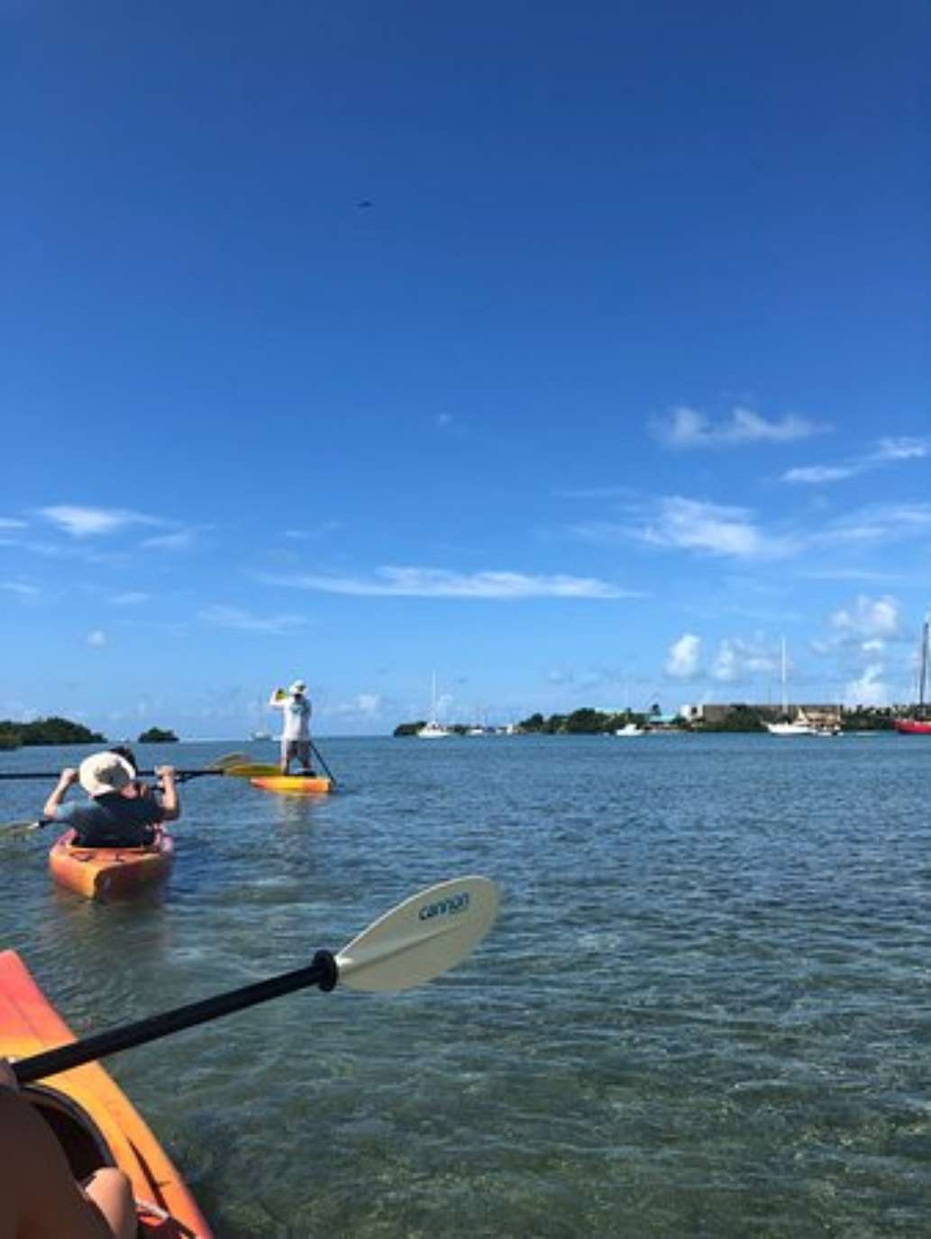 Blue Planet Kayak Eco-Tours