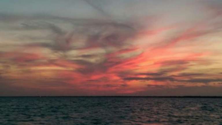 Rosa Del Mar Sailing Day Tours