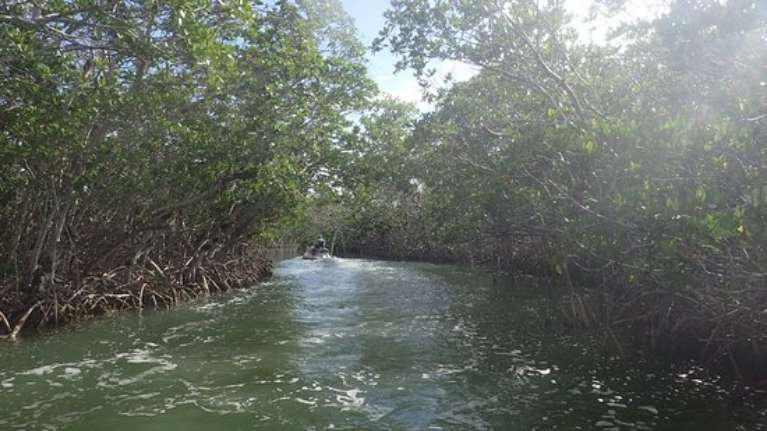 Robbie's Waverunners