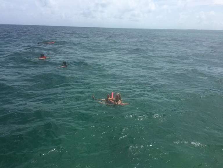 Clearly Unique Charters