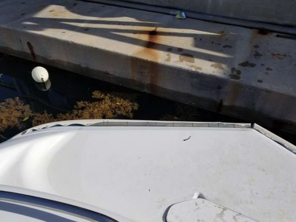 Bayside Boat Rentals