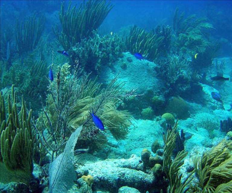 Private Island Tours