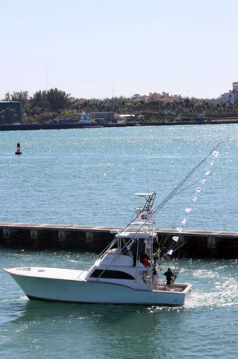 Deep sea fishing Miami - Jumanji