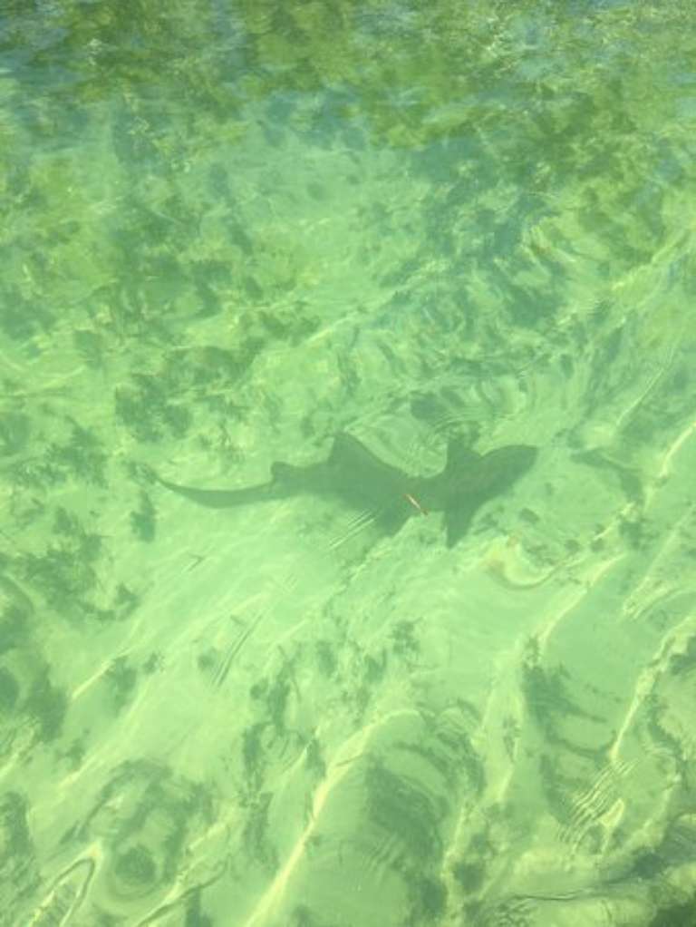 Lower Keys Adventure Charters