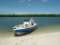 Davey Dee's Charters